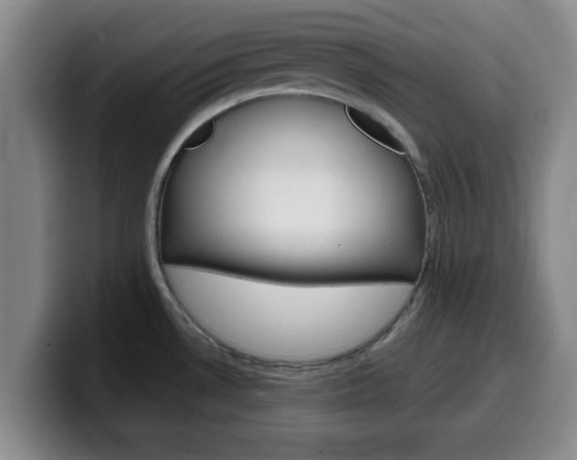 X0000100321530200806051339