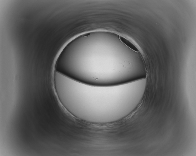 X0000100321532200806051339