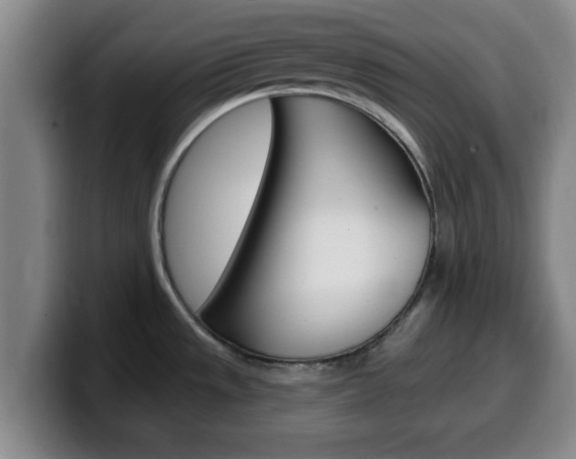 X0000100321533200806051339