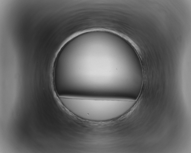 X0000100321534200806051339