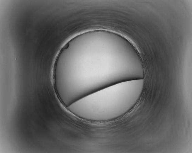 X0000100321535200806051339