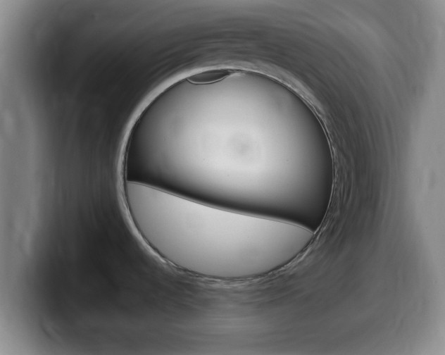 X0000100321536200806051339