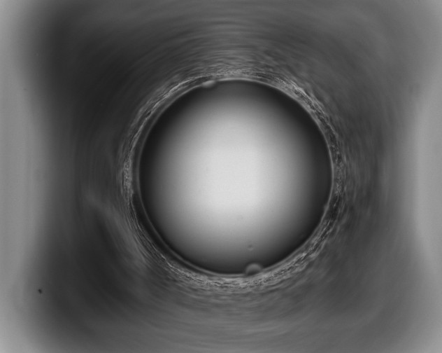 X0000100320002200806051527