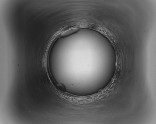 X0000100320003200806051527