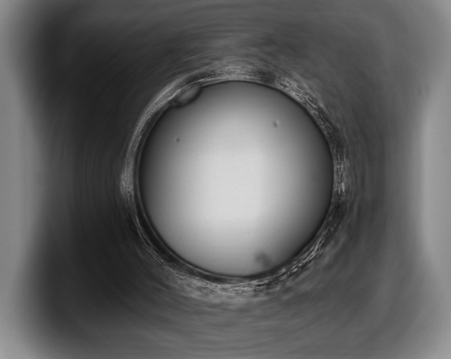 X0000100320004200806051527