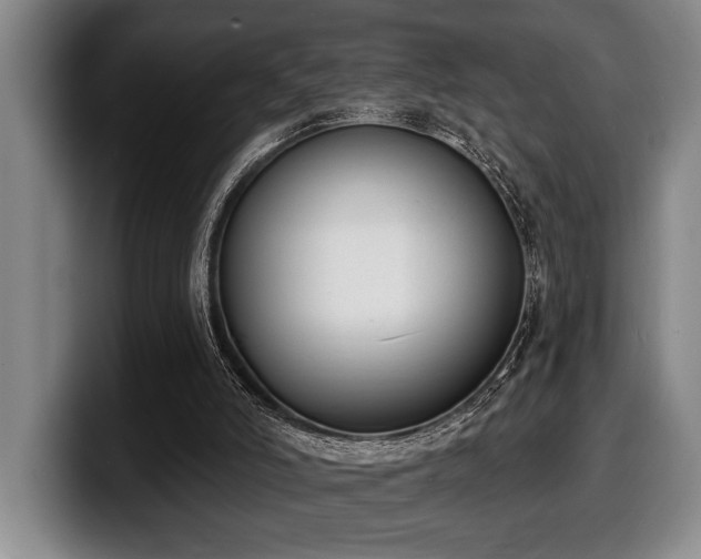 X0000100320006200806051527