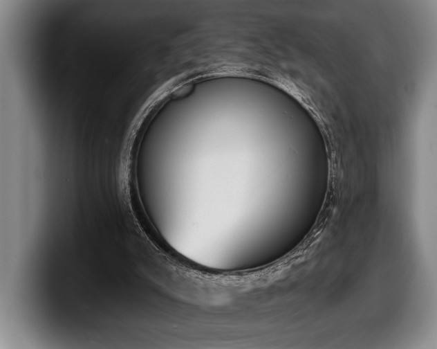 X0000100320007200806051527