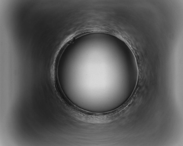 X0000100320008200806051527