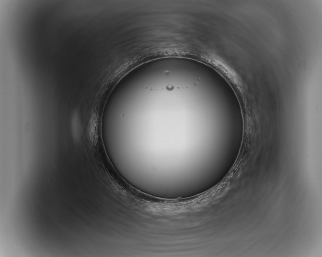 X0000100320009200806051527