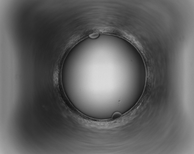 X0000100320010200806051527