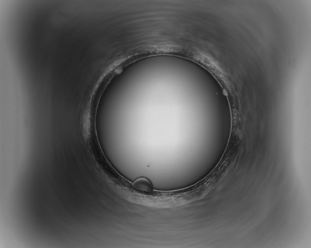 X0000100320012200806051527