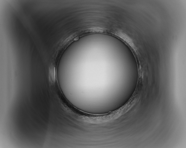 X0000100320013200806051527