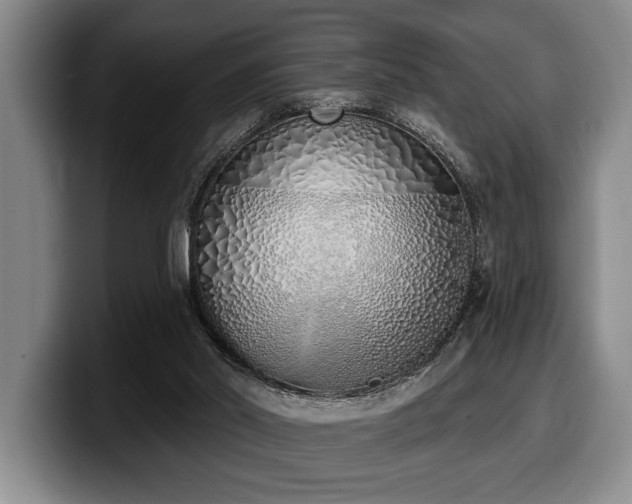 X0000100320014200806051527