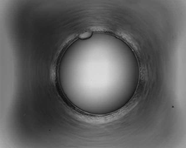 X0000100320015200806051527