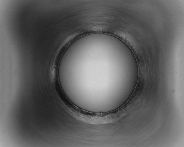 X0000100320016200806051527