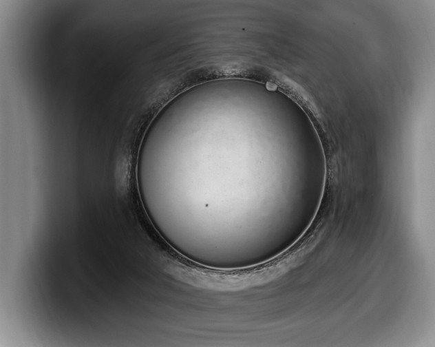 X0000100320018200806051527