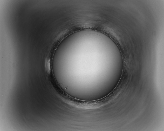 X0000100320020200806051527