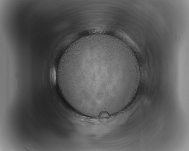 X0000100320022200806051527