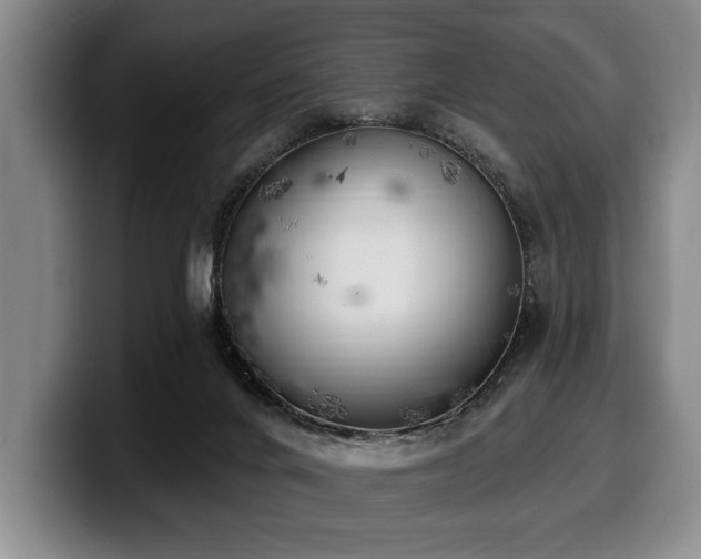 X0000100320024200806051527