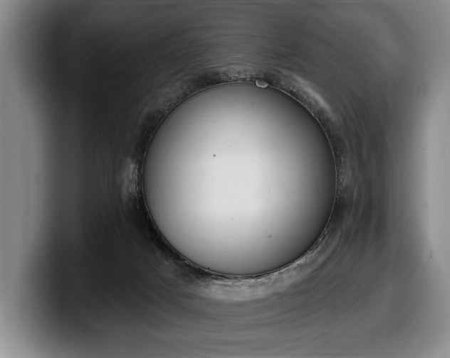 X0000100320025200806051527