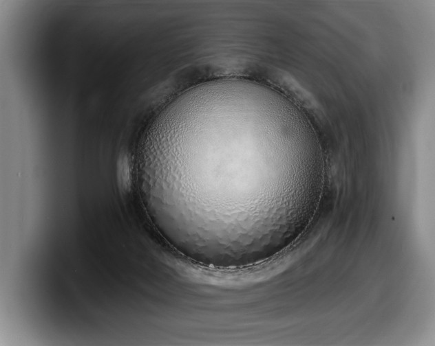 X0000100320026200806051527