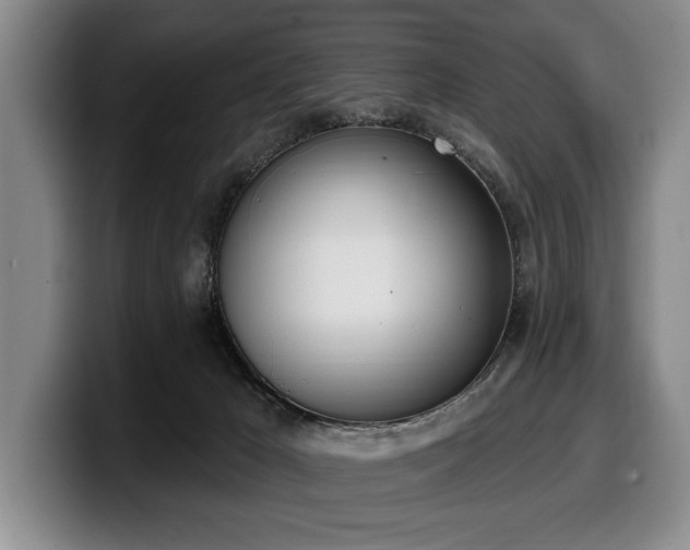 X0000100320029200806051526