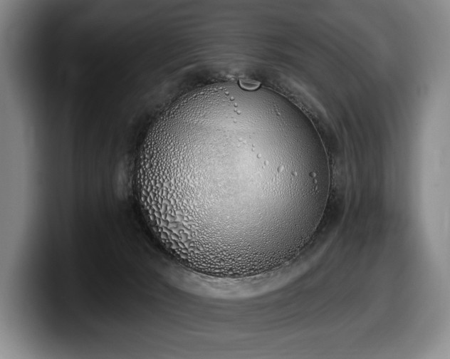 X0000100320030200806051526