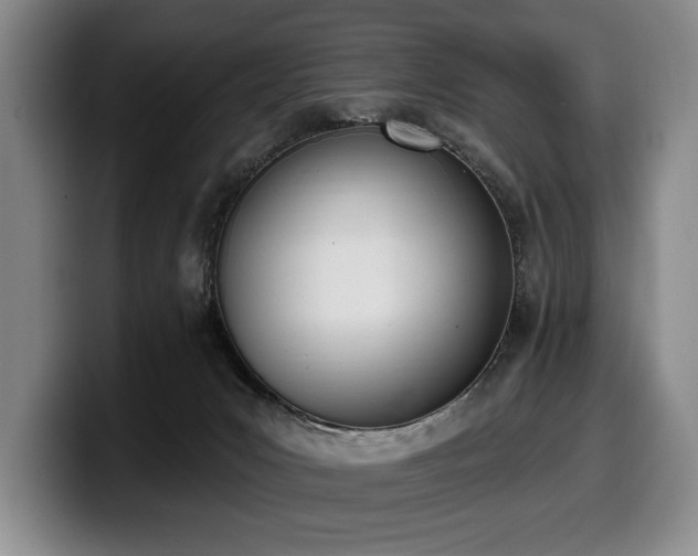 X0000100320031200806051526