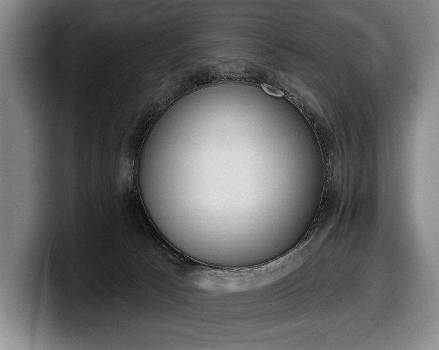 X0000100320033200806051526