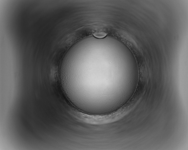 X0000100320034200806051526