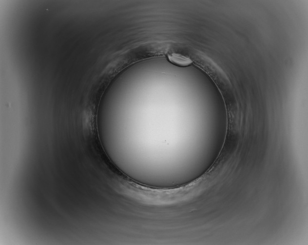 X0000100320035200806051526