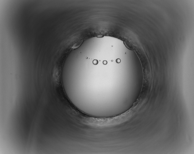 X0000100320037200806051526