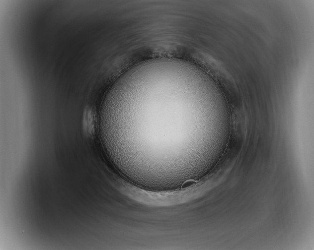 X0000100320038200806051526