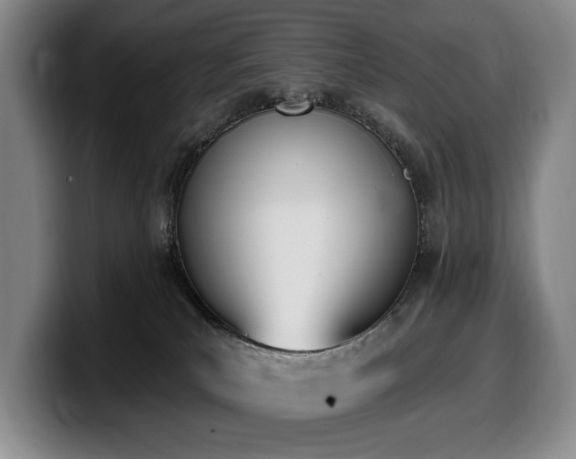 X0000100320039200806051526