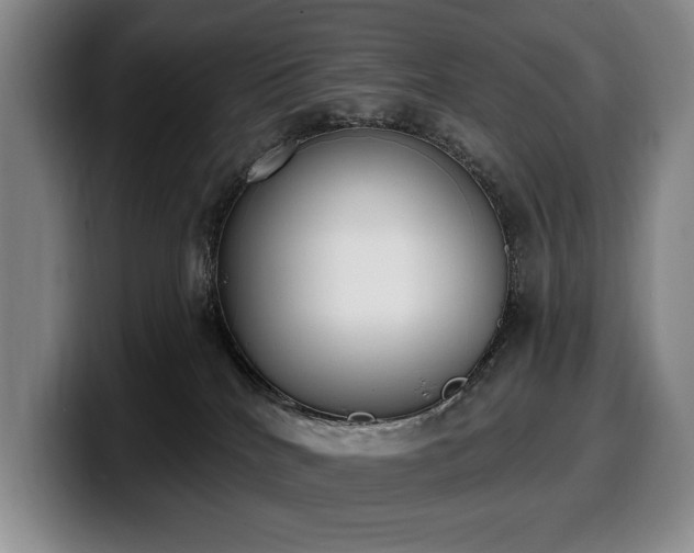 X0000100320040200806051526