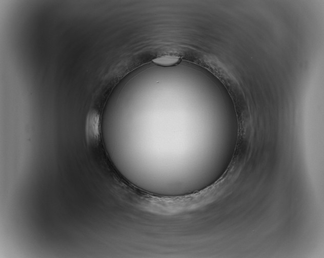 X0000100320041200806051526