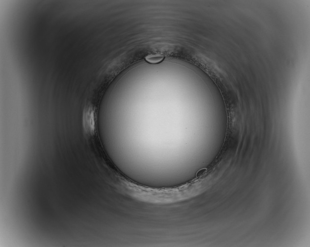 X0000100320042200806051526