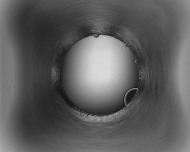 X0000100320043200806051526