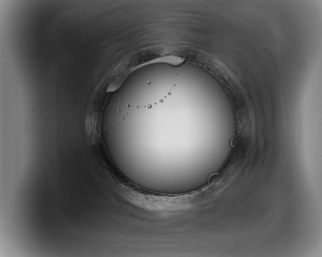 X0000100320044200806051526