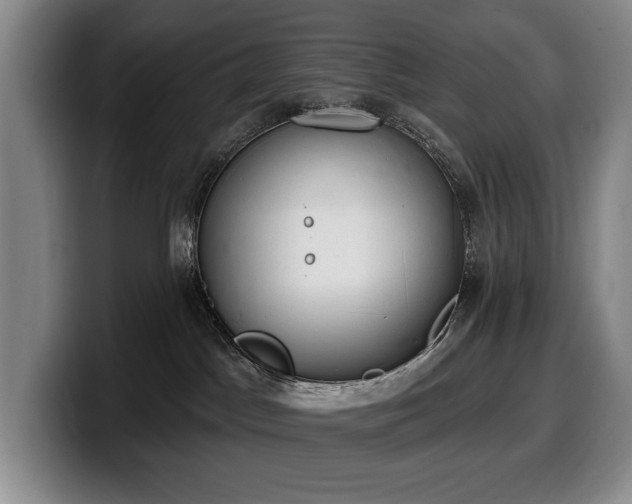 X0000100320045200806051526