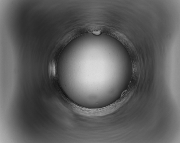 X0000100320046200806051526