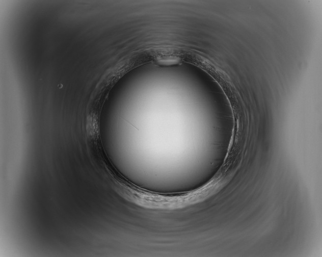 X0000100320048200806051526