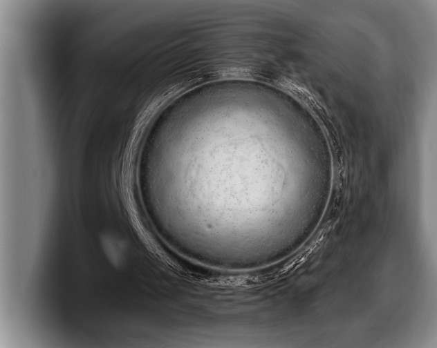 X0000100320049200806051525