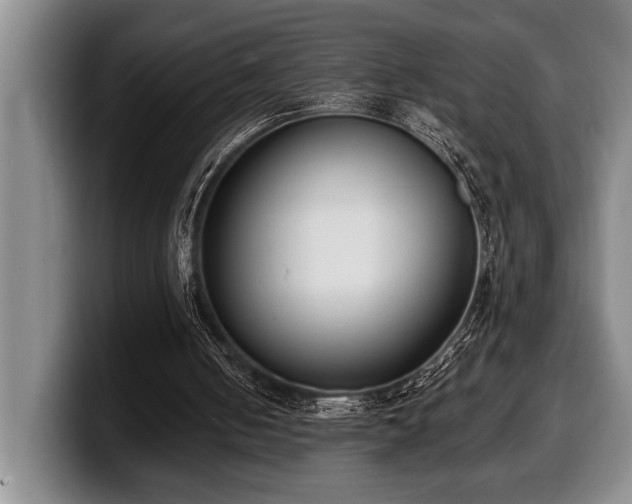 X0000100320050200806051525