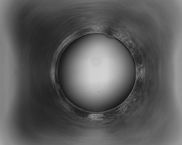 X0000100320051200806051526