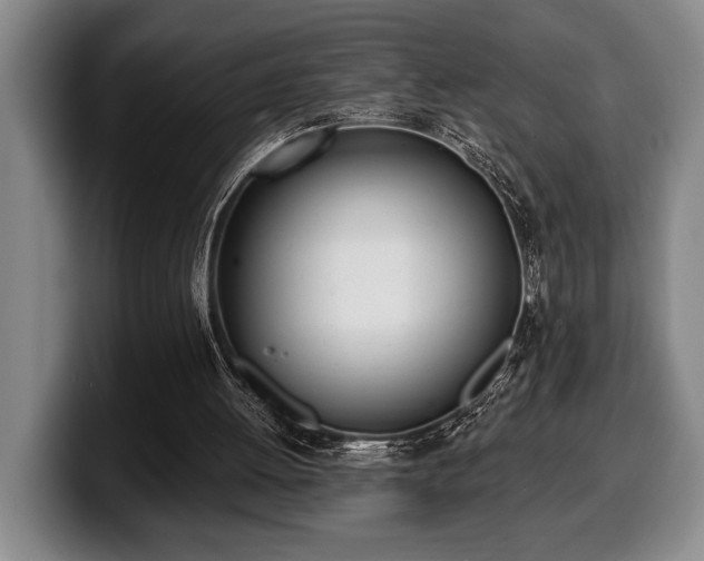 X0000100320052200806051526