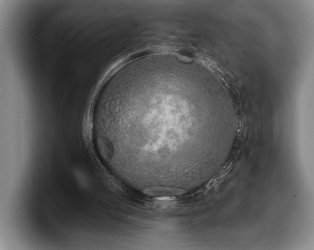 X0000100320053200806051526