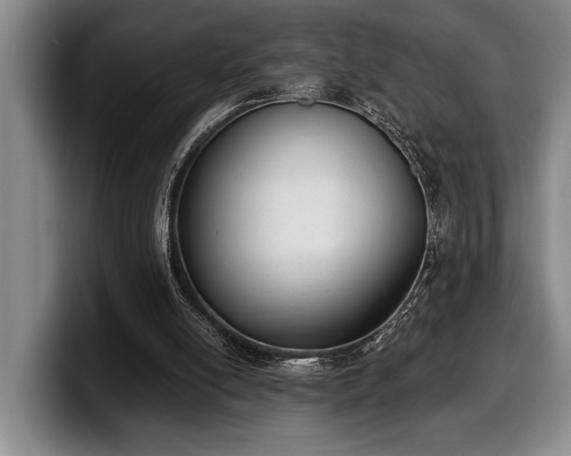 X0000100320054200806051526