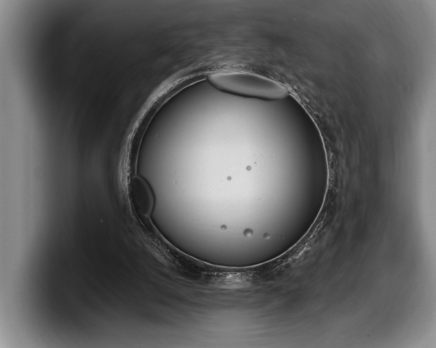 X0000100320056200806051526