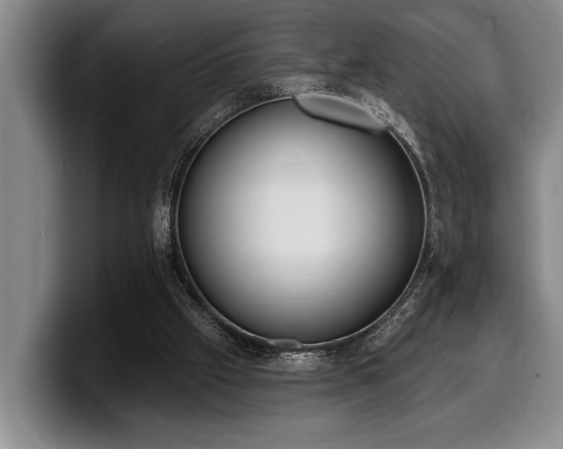 X0000100320057200806051526